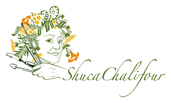Shuca Chalifour Logo